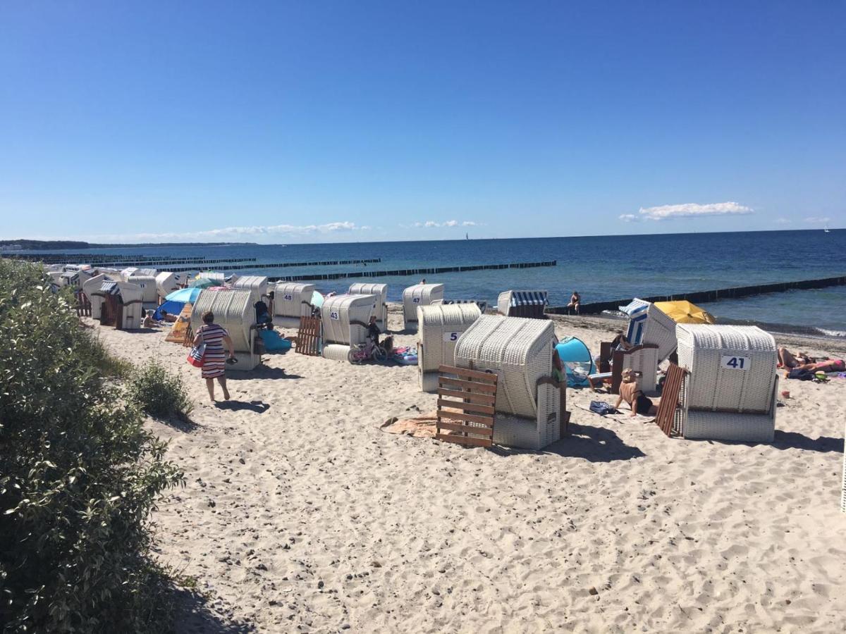 Sunny Suite 14 - Elegantes Hotelapartment Mit Grossartigem Pool-Wellnessbereich Direkt Am Meer In Ruhiger Lage - Perfekt Fuer Mensch Und Tier 보르게렌데레트비슈 외부 사진